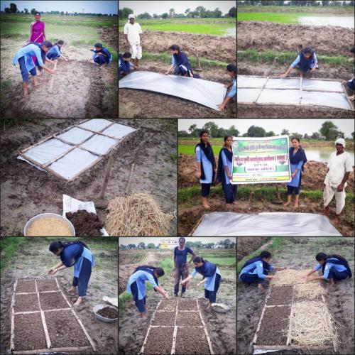 Demonstration-on-raising-seed-bed-for-nursery-preparation-by-krushi-kanya-sangh@-talodhiMo